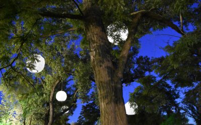 Garden in the Sky at the Illinois State Museum in Lockport Gallery