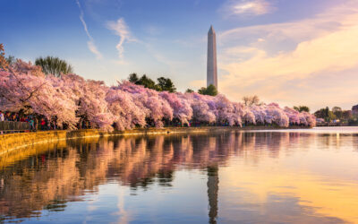 Todd Buck among NIU faculty to participate in Congressional poster session in Washington DC