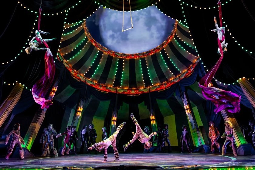 Cats Paramount Theatre Aurora