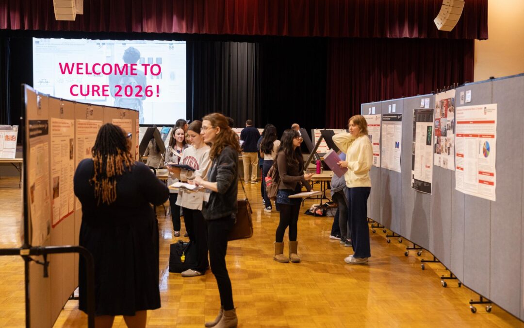 Art and Design students research how high school art teachers are using AI